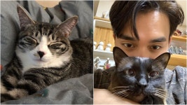 [스브스타] 갑수목장 통해 반려묘 입양한 유승호의 일침…돈벌이 수단으로 생각 말길