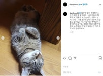 [스브스타] 갑수목장 통해 반려묘 입양한 유승호의 일침…돈벌이 수단으로 생각 말길