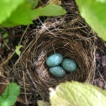 [Pick] 코로나로 문 닫았던 英 술집…쭉 쉬기로 한 귀여운 이유