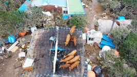 물 빠진 화개장터, 처참 그 자체 목메도록 울고 싶다