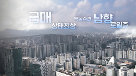 [취재파일] 다만 부동산 담합에서 구하소서