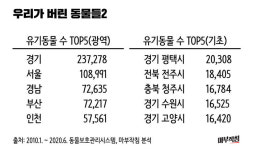 [마부작침] 2020 유기동물을 부탁해 - ① 우리가 버린 95만 아이들