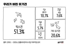 [마부작침] 2020 유기동물을 부탁해 - ① 우리가 버린 95만 아이들