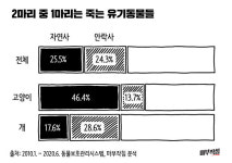 [마침] 2020 유기동물을 부탁해!