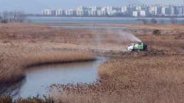 조류인플루엔자 전국 동시다발 확산에 부산도 긴장