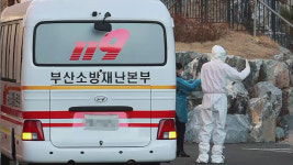 부산 유흥주점·노래연습장 셧다운…내일부터 2.5단계 격상