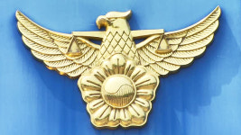 보행자 매달고 1㎞ 운전…30대 남성 체포