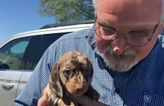 [Pick] 풍선에 소원 적어 날려 보낸 쌍둥이…4달 뒤 찾아온 산타