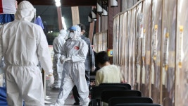 주요 변이 3종 감염자 176명 늘어…누적 808명