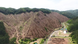 자주 베야 더 많은 보조금…민둥산 부추기는 산림청