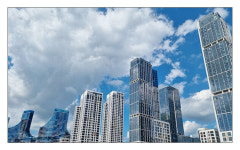 [SDF 다이어리] 세종 주재 기자의 행복도시 견문록