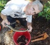 [Pick] 집에서 자꾸 뱀이 보여요…독사 90마리 동거 중이었다