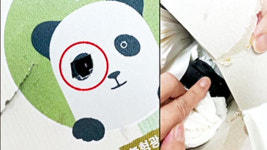 여교사 화장실에 불법 촬영 카메라 설치한 초등학교 교장 구속기소