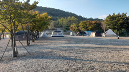 경기도, 산지 불법 훼손 등 산지관리법 위반 51명 적발