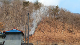 강원 인제 산불 약 2시간 만에 진화…60대 실화자 조사 중