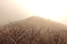 [라이프] 길, 책을 만나다 ⑩ 불행할 자유를 원합니다 - 치악산 황골지구 탐방길