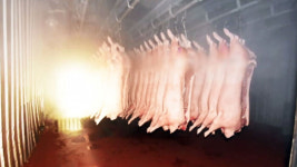 [단독] 불난 직판장 축산물, 폐기 대상인데 몰래 팔았다