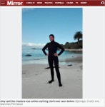 [Pick] 마법의 동물?…몸속 훤히 보이는 미확인 생물체 발견