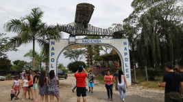 남미 마약왕이 들여온 하마, 어느새 130마리…살처분 신세 되나