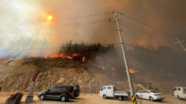 36번 국도 울진 고성~온양 교차로 양방향 통제