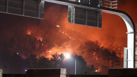 강릉 성산면 산불 17시간 만에 진화…산림 20㏊ 소실