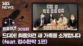 드디어! 최종의견 새 가족을 소개합니다 (feat. 검수완박 1편) [최종의견]
