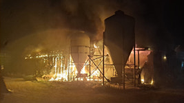 경북 영천 돼지농장서 불…2천 마리 타 죽어