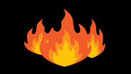 강동구 암사동 화훼단지 비닐하우스 불…남성 숨진 채 발견