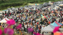 가을 초입 관광지 '북적'…태풍 경로 유원지는 '한산'