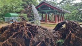 경주 불국사·석굴암도 상처…문화재 피해 총 32건