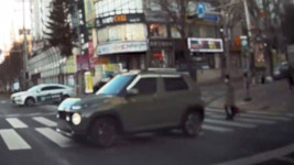 자연스러워 사람인 줄…횡단보도 건너는 차량에 깜짝