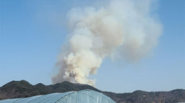 경북 김천 야산서 불…3시간 반 만에 진화