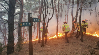 경북 상주 산불 17시간여 만에 진화…86ha 소실