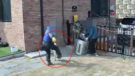 동물보호센터 직원들인데…유기견 움켜쥐고 발로 차