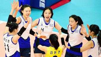현대건설, 프로배구 컵대회 2연승…4강 진출 눈앞