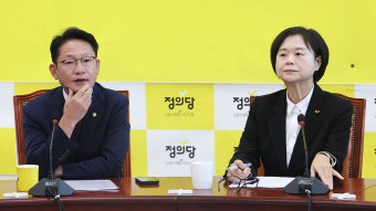 이정미, 사퇴론에 