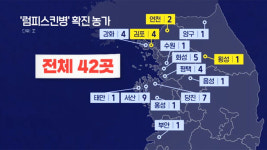 한우의 고장 횡성까지 퍼졌다…경북·전남 럼피스킨병 방어 총력