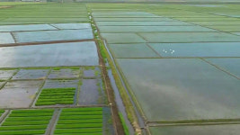 [한반도 포커스] 백두산 드론 촬영…농약 · 비료 살포