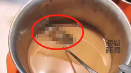 중국 학교 구내식당 양념통에서 쥐 나와…또 불거진 식품위생 논란