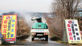 정부, AI 확산에 산란계 농장 특별방역…18개 시군 집중 점검