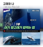 2023년 마지막 날엔 이 콘텐츠 어떠세요? [SDF다이어리]