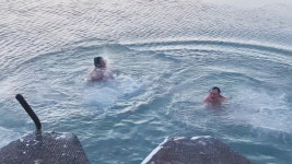 엔돌핀 솟는다 혹한에도 풍덩…1200일 넘게 다이빙