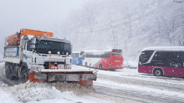 강릉 왕산 44㎝ 폭설…문화행사 취소 · 경기 일정 변동