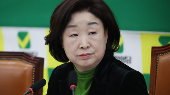 녹색정의당 원내대표에 심상정…