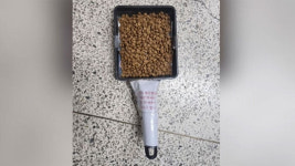 고양이 밥 치우면 절도죄 신고…진상 캣맘에 골머리