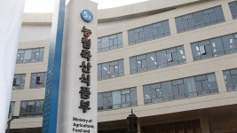 반려동물 영업장 불법행위 잡아낸다…농식품부, 집중 단속