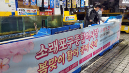 바가지 논란 소래포구 어시장, 광어회 1억 원어치 무료로 쏜다