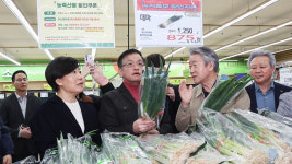 대파 한단 875원 하나로마트 할인행사 오는 12일까지