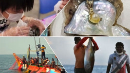 태국 가서 무에타이 배우기…2030세대 여행법은 뭔가 다르다