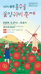 붉은 양귀비의 유혹 원주 용수골 꽃양귀비 축제 17일 개막